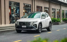 Top 10 ô tô bán chạy nhất tháng 11/2024: Hyundai áp đảo doanh số