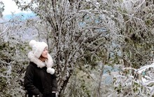 Không khí lạnh liên tục tăng cường, vùng núi xuống dưới 5 độ