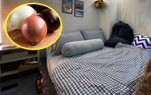 Đặt 1 củ hành tây trong phòng ngủ, tôi tiếc ròng vì 30 năm trên đời không biết làm điều này sớm hơn