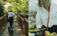 Chuyện người phụ nữ Pháp sống một mình giữa núi rừng Vân Nam 14 năm: Sửa nhà, ủ rượu, tận hưởng cuộc sống an yên