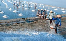 Giá 'vàng trắng' bấp bênh, diêm dân chưa thoát nghèo