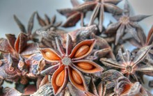 Hóa ra đây là lý do hoa hồi được coi là 'báu vật trời ban'