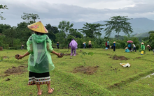 Thanh Hóa: Hiệu quả từ một chương trình phát triển nông thôn bền vững