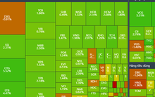 VN-Index tăng hơn 13 điểm, cổ phiếu đầu tư công và năng lượng tăng trần