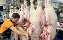 Vì sao giá thịt heo tăng sốc 30% chỉ trong 1 tuần?