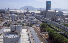 PVFCCo ra mắt bộ nhận diện thương hiệu mới “PHUMY”