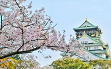 Khách Việt đổ xô du lịch Nhật Bản dịp Tết