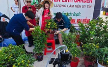 Đua livestream bán hàng Tết