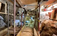 Hài cốt 43.000 năm tiết lộ khởi đầu của những "con người lai"