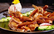 Loài vật nhỏ bé nhưng bổ dưỡng gấp bội thịt gà, ngày Tết tận dụng sẽ giúp bổ khí, tốt cho xương khớp