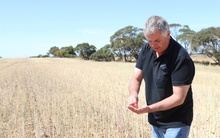 Một ngày ở Điền trang Nam Úc