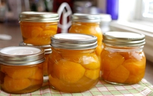 Mối quan hệ bất ngờ giữa nghệ và ung thư