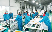 Bộ trưởng Hồ Đức Phớc: Gỡ khó cho doanh nghiệp, chỉ giảm thuế là chưa đủ