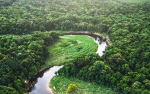 Phát hiện nền văn minh cổ đại dưới tán rừng Amazon