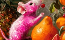 Chuyên gia phong thủy tiết lộ: 4 con giáp bứt phá ngoạn mục trong năm 2024, tài lộc lẫn sự nghiệp đều thăng hoa