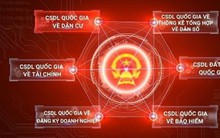 Thủ tướng chỉ thị tiếp tục đẩy mạnh triển khai Đề án 06