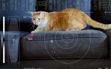 Video đầu tiên được gửi bằng tia laser từ không gian sâu về trái đất