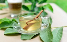 4 loại lá này pha nước là “thuốc” kiểm soát đường huyết tự nhiên, khắc tinh của mỡ máu, bổ tim: Sẵn ở Việt Nam