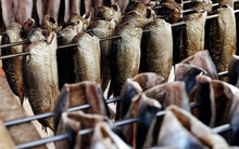 Một mặt hàng bán đầy chợ Việt ra nước ngoài thành 'sản vật triệu đô', Mỹ, châu Âu cực kỳ ưa chuộng