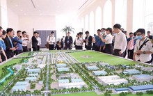 Thị trường ấm dần, môi giới bất động sản khấp khởi quay lại nghề