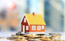 Chuyên gia phong thủy tiết lộ 3 con giáp hút tài lộc trong năm 2024, nhất là khi đầu tư đất đai sẽ “phát dã như lôi”