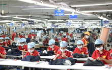 Hướng dẫn mới nhất về bảo hiểm thất nghiệp áp dụng từ ngày 15-2