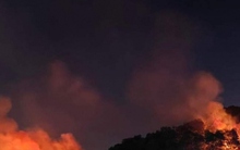 Hải Phòng kịp thời khống chế đám cháy rừng trong đêm