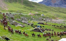 Thành phố kỳ lạ ở Trung Quốc, nghìn năm không trồng bất cứ cây xanh nào