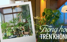 Ban công nhỏ chỉ 3m2 cũng có thể biến thành một “khu vườn trên không”, nếu không tin hãy xem ngay bài viết này!