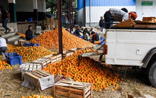 Sở hữu ‘bảo bối tỷ đô’ được 2/3 thế giới ưa chuộng, Việt Nam thu hơn 5 tỷ USD trong năm 2023, đi đến đâu được ưa chuộng đến đó