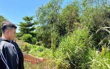 Hành trình truy bắt hung thủ hiếp dâm, sát hại cô gái vào chiều 29 Tết