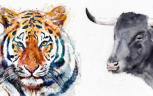 5 con giáp có họa tiểu nhân trong năm Giáp Thìn 2024: Cần chú ý nhất những tháng này