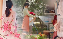 Bà nội trợ Hàn Quốc dựa vào 2 kỹ năng này để nhân đôi sức chứa của căn nhà cổ rộng chưa tới 50m2