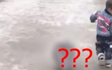 Thấy con trai chạy ra khỏi nhà, mẹ lén đi theo xem thử: Nhìn thứ con dắt theo cùng, mẹ vừa ôm bụng cười vừa kéo con về vội