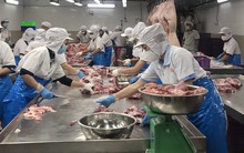 Nhiều doanh nghiệp đón đơn hàng lớn