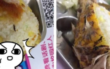 Học bá phát hiện côn trùng lạ trong cơm canteen, đọc thư khiếu nại mà choáng váng: Người học giỏi đi kiện cũng ở level khác!