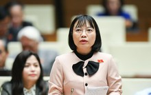 Đại biểu Quốc hội Nguyễn Thị Việt Nga: Đánh giá mức độ hoàn thành nhiệm vụ từ quý đầu năm