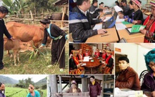 Nguồn vốn chính sách hỗ trợ tạo việc làm cho trên 790.000 lao động