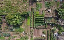 Hà Nội thông tin về Dự án Bệnh viện 1.000 tỷ đồng chậm tiến độ