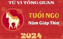 Tử vi tổng quan tuổi Ngọ năm Giáp Thìn 2024: Quý nhân phù trợ, tài lộc viên mãn nhưng cần lưu ý 1 điều