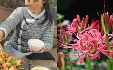 Hái rau mọc sau nhà về nấu bữa tối, hai vợ chồng trúng độc nhập viện, bác sĩ kiểm tra phát hiện "hung thủ" chính là... bỉ ngạn