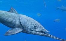 Phát hiện rùng mình về "thủy quái ngoài hành tinh" 365 triệu tuổi