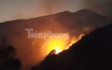 Cháy lớn tại Vườn Quốc gia Hoàng Liên, huy động gần 400 người dập lửa