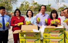 Nhộn nhịp đơn hàng xuất khẩu đầu năm