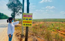 Điểm mặt 14 dự án dự án chậm triển khai tại Bà Rịa – Vũng Tàu, đang lên kế hoạch xử lý