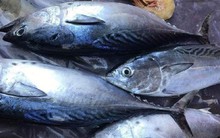 Những loại cá biển vừa ngon lại còn bổ dưỡng, chị em đừng quên “thêm vào giỏ hàng” khi đi chợ