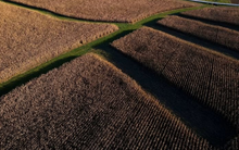 Không phải chứng khoán, nhà đầu tư ở nền kinh tế số 1 thế giới đổ xô vào một loại tài nguyên hữu hạn, càng chậm chân càng khó mua