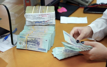 Một loạt doanh nghiệp địa ốc bị dừng làm thủ tục hải quan do nợ thuế