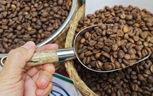 Giá cà phê, hồ tiêu tăng nóng, liên tục lập kỷ lục mới