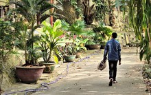 Biệt phủ trái phép của đại gia vàng, gần 10 năm yêu cầu tháo dỡ giờ ra sao?